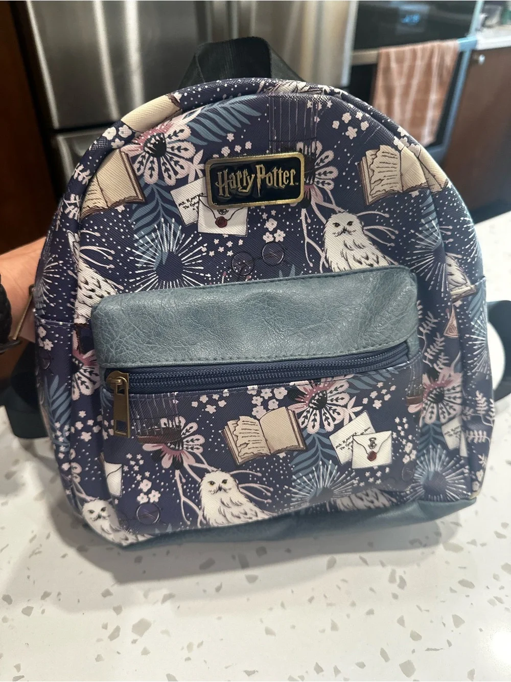 Warner Bros. Harry Potter Owl Pattern Small Backpack